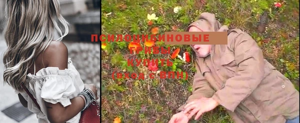 соль курить ск Киреевск