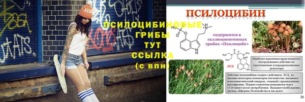 соль курить ск Киреевск