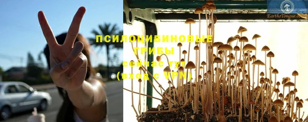 соль курить ск Киренск