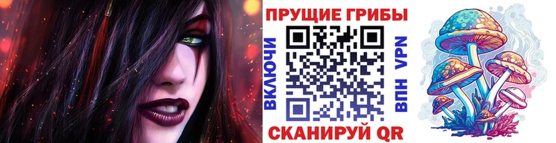 Псилоцибиновые грибы Psilocybine cubensis  Купить где  Сергач 